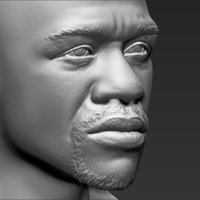 Floyd Mayweather bust ready for full color 3D printing - Thumbnail 23