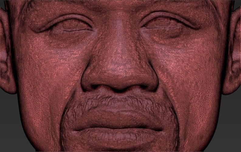 Floyd Mayweather bust ready for full color 3D printing 3D Print 231875