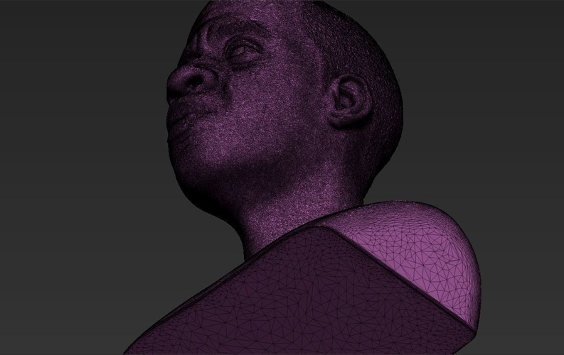 Jay-Z bust 3D printing ready stl obj 3D Print 231891