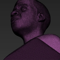 Jay-Z bust 3D printing ready stl obj - Thumbnail 15
