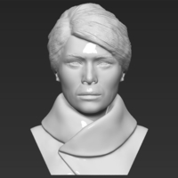 Small Melania Trump bust 3D printing ready stl obj 3D Printing 231918