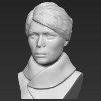 Melania Trump bust 3D printing ready stl obj - Thumbnail 2