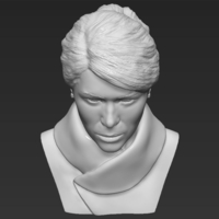 Melania Trump bust 3D printing ready stl obj - Thumbnail 9