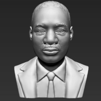 Small Martin Luther King bust 3D printing ready stl obj 3D Printing 232006