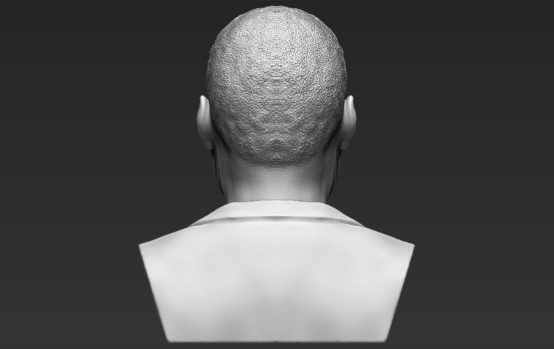 Martin Luther King bust 3D printing ready stl obj 3D Print 232010