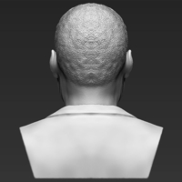 Martin Luther King bust 3D printing ready stl obj - Thumbnail 5
