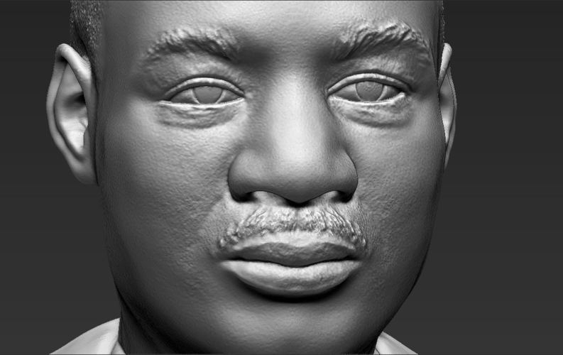 Martin Luther King bust 3D printing ready stl obj 3D Print 232015