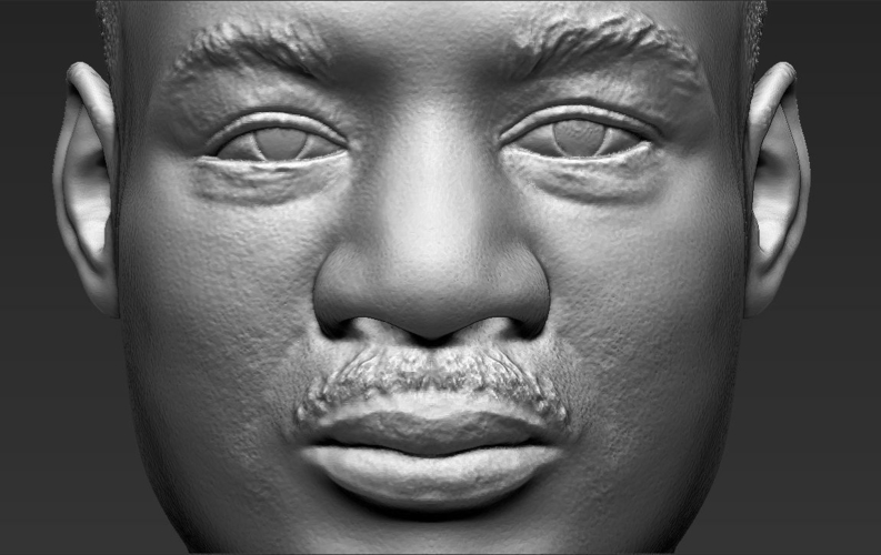 Martin Luther King bust 3D printing ready stl obj 3D Print 232017