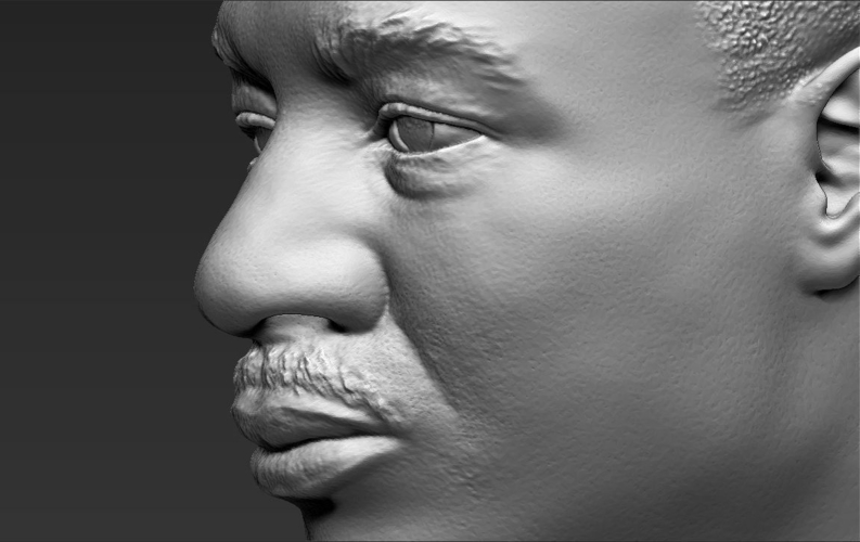 Martin Luther King bust 3D printing ready stl obj 3D Print 232018