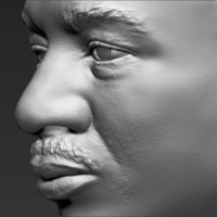Martin Luther King bust 3D printing ready stl obj - Thumbnail 13