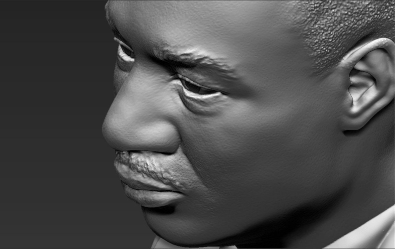 Martin Luther King bust 3D printing ready stl obj 3D Print 232019