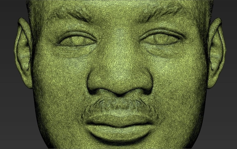 Martin Luther King bust 3D printing ready stl obj 3D Print 232024