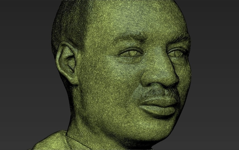 Martin Luther King bust 3D printing ready stl obj 3D Print 232025