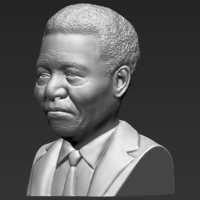 Nelson Mandela bust 3D printing ready stl obj - Thumbnail 3