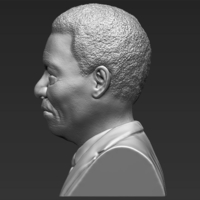Nelson Mandela bust 3D printing ready stl obj - Thumbnail 4