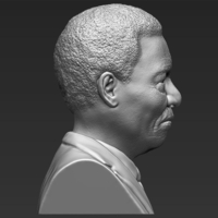 Nelson Mandela bust 3D printing ready stl obj - Thumbnail 6