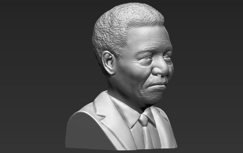 Nelson Mandela bust 3D printing ready stl obj 3D Print 232032