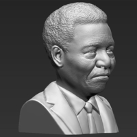 Nelson Mandela bust 3D printing ready stl obj - Thumbnail 7