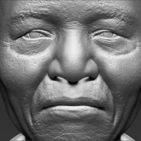 Nelson Mandela bust 3D printing ready stl obj - Thumbnail 8
