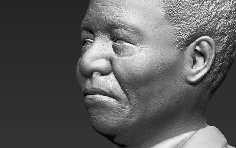 Nelson Mandela bust 3D printing ready stl obj 3D Print 232035