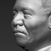 Nelson Mandela bust 3D printing ready stl obj - Thumbnail 10