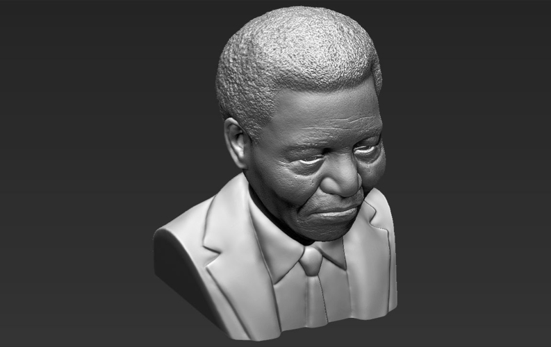 Nelson Mandela bust 3D printing ready stl obj 3D Print 232036