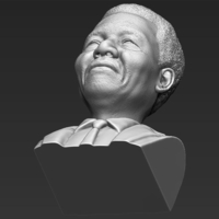 Nelson Mandela bust 3D printing ready stl obj - Thumbnail 13
