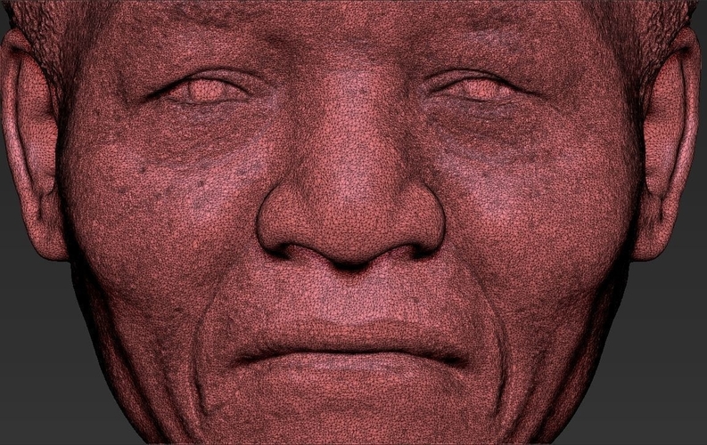 Nelson Mandela bust 3D printing ready stl obj 3D Print 232040