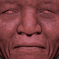 Nelson Mandela bust 3D printing ready stl obj - Thumbnail 15