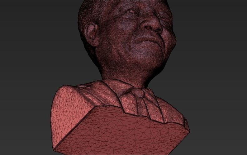 Nelson Mandela bust 3D printing ready stl obj 3D Print 232041