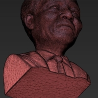 Nelson Mandela bust 3D printing ready stl obj - Thumbnail 16