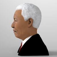 Nelson Mandela bust ready for full color 3D printing - Thumbnail 4