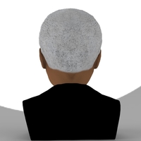 Nelson Mandela bust ready for full color 3D printing - Thumbnail 5