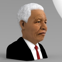 Nelson Mandela bust ready for full color 3D printing - Thumbnail 6