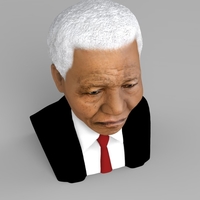 Nelson Mandela bust ready for full color 3D printing - Thumbnail 7