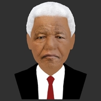 Nelson Mandela bust ready for full color 3D printing - Thumbnail 12