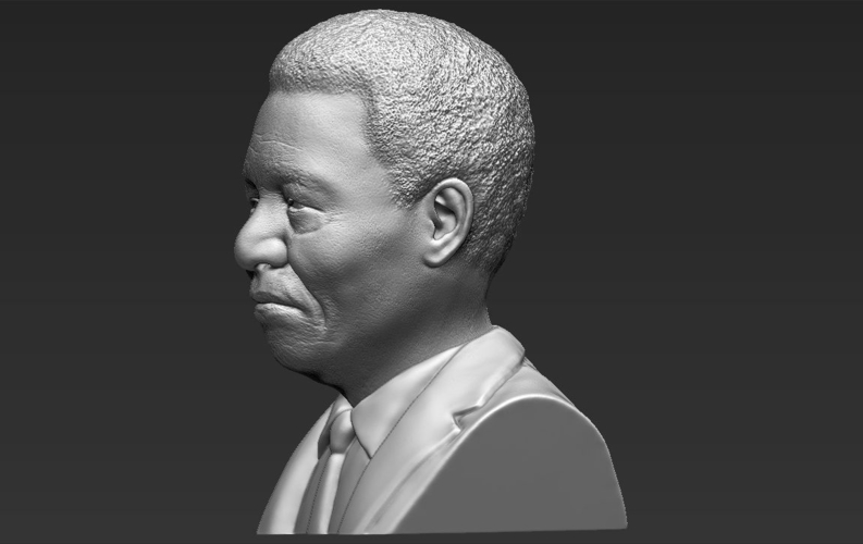 Nelson Mandela bust ready for full color 3D printing 3D Print 232056