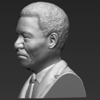 Nelson Mandela bust ready for full color 3D printing - Thumbnail 15