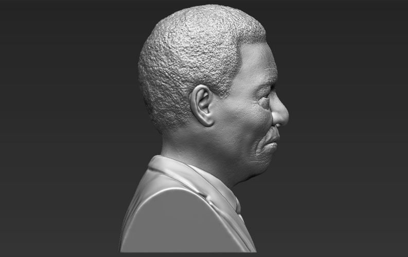 Nelson Mandela bust ready for full color 3D printing 3D Print 232059