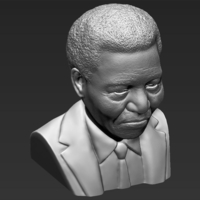 Nelson Mandela bust ready for full color 3D printing - Thumbnail 21