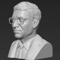 Bill Gates bust 3D printing ready stl obj - Thumbnail 3