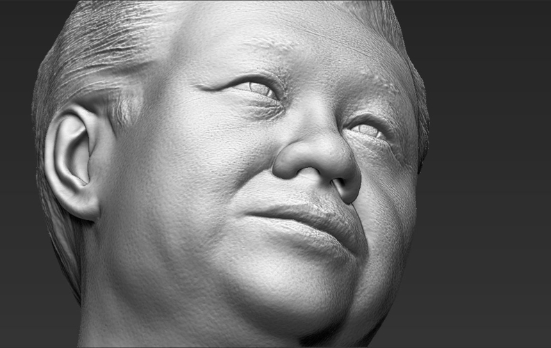 Xi Jinping bust 3D printing ready stl obj 3D Print 232174