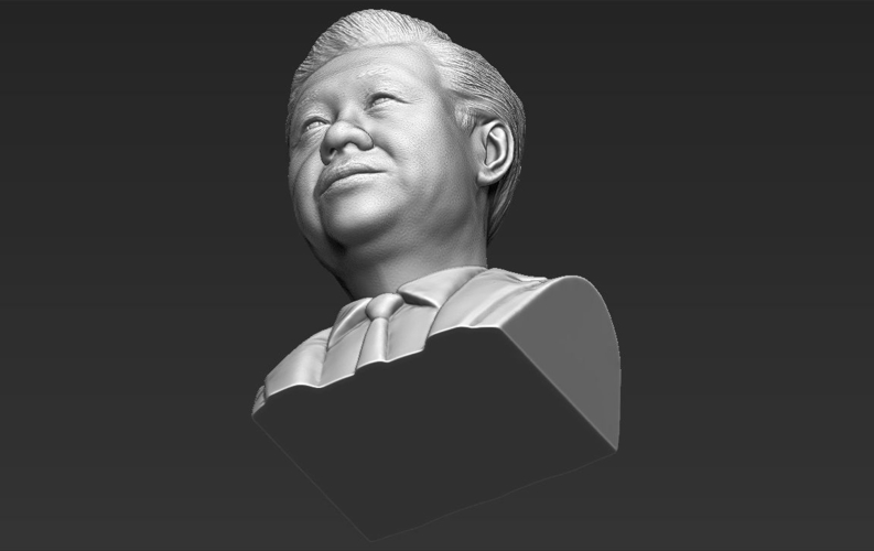 Xi Jinping bust 3D printing ready stl obj 3D Print 232175