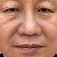 Xi Jinping bust ready for full color 3D printing - Thumbnail 9