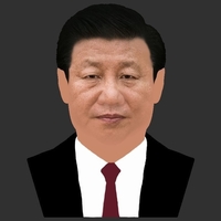 Xi Jinping bust ready for full color 3D printing - Thumbnail 13