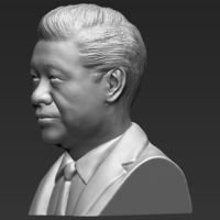Xi Jinping bust ready for full color 3D printing - Thumbnail 15