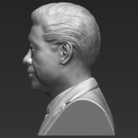 Xi Jinping bust ready for full color 3D printing - Thumbnail 17