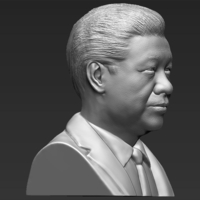 Xi Jinping bust ready for full color 3D printing - Thumbnail 19