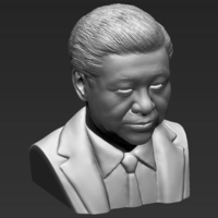 Xi Jinping bust ready for full color 3D printing - Thumbnail 21