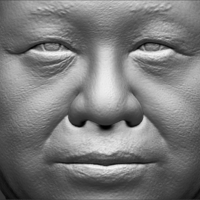 Xi Jinping bust ready for full color 3D printing - Thumbnail 22
